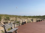 Shore Communities Real Estate Report (August 2019)