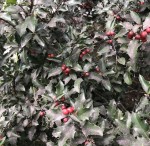 Real Estate Report: Ocean Twp December 2019